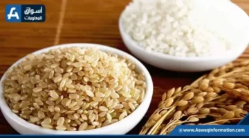 أسعار الأرز الشعير اليوم الأحد عند التجار: تفاصيل سعر الطن وتطوراته الأخيرة